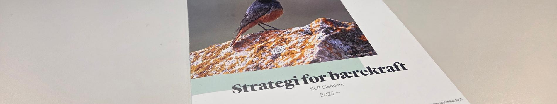 Bærekraftstrategidokument