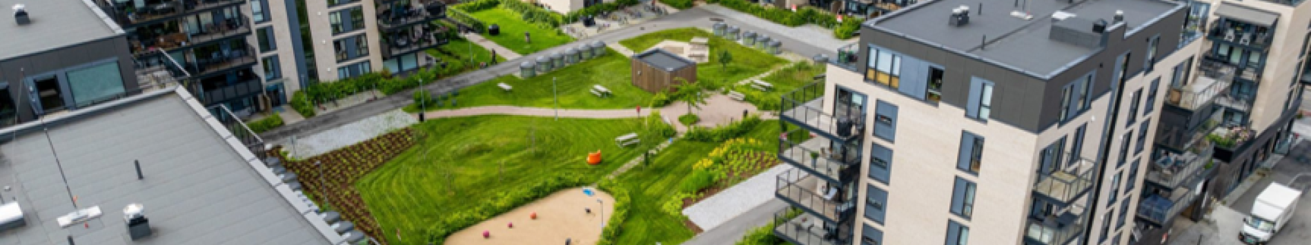 Skårersletta
